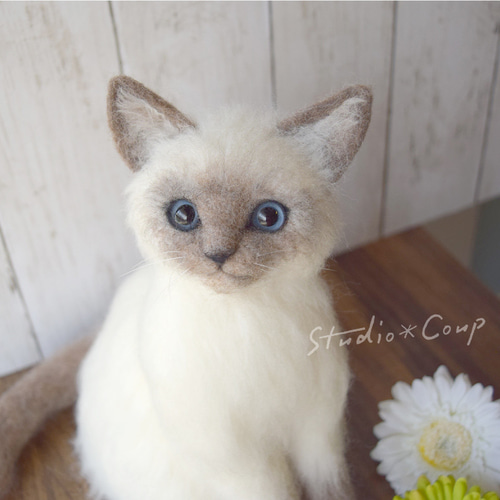 シャム猫の子猫 羊毛フェルト studio＊coup 通販 14831225｜Creema