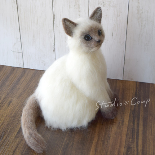 シャム猫の子猫 羊毛フェルト studio*coup 通販 14831225 シャム猫の子猫 羊毛フェルト studio*coup 通販 14831225