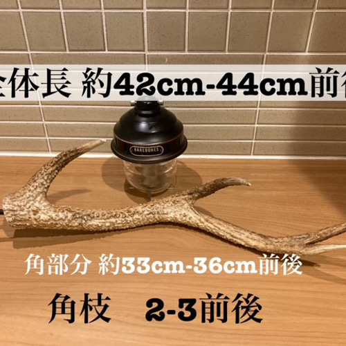 神の使い（鹿の角）ランタンハンガー その他素材 DWARF CRAFT