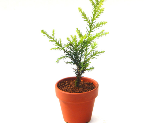 1cdd7023e45810f1bf6c83c80a5d8a