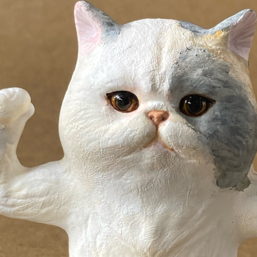 ネコ エキゾチックショートヘア 置物 インテリア雑貨【澄んだ瞳の猫