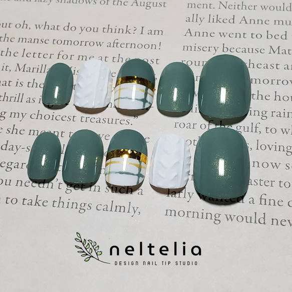 ベリーショートネイルチップ 1枚目の画像