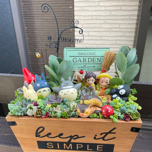 値下げしました♪♪★★箱庭風❤️★寄せ植え★このまま飾れます★多肉植物★★ ☆送料無料☆♡そのまま飾れる♡箱庭風多肉植物寄せ植え