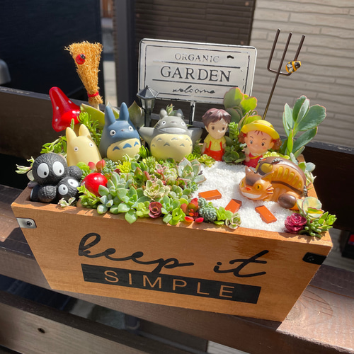 大サイズ 箱庭風多肉植物寄せ植え 多肉植物 まぁちゃん 通販 14833112