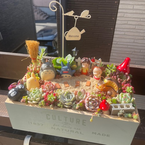 値下げしました♪♪★★箱庭風❤️★寄せ植え★このまま飾れます★多肉植物★★ 多肉植物 そのまま飾れる 大きな寄せ植え❁⃘*.゜わんちゃんの箱庭風