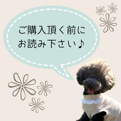 ✿ご購入頂く前にお読み下さい︎✿ ペット服・アクセサリー *RUN♪RUN
