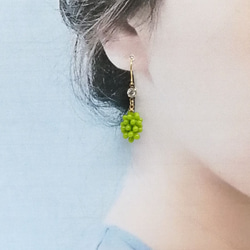 【手術不銹鋼耳環】麝香葡萄綠綠色耳環 第2張的照片