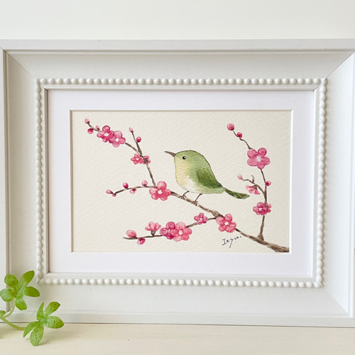 透明水彩画 A4ポスター「梅とうぐいす」イラスト ポスター 花 鳥