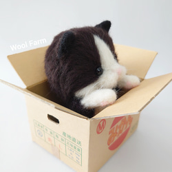 ダンボール猫(ハチワレ)　～Wool Farm～　羊毛フェルト 4枚目の画像