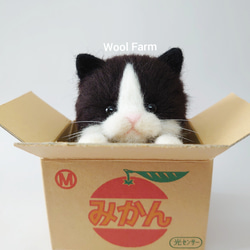 ダンボール猫(ハチワレ)　～Wool Farm～　羊毛フェルト 3枚目の画像