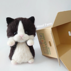 ダンボール猫(ハチワレ)　～Wool Farm～　羊毛フェルト 6枚目の画像