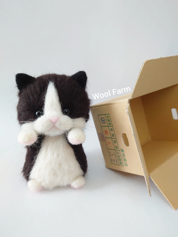 ダンボール猫(ハチワレ)　～Wool Farm～　羊毛フェルト 6枚目の画像