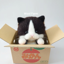 ダンボール猫(ハチワレ)　～Wool Farm～　羊毛フェルト 2枚目の画像