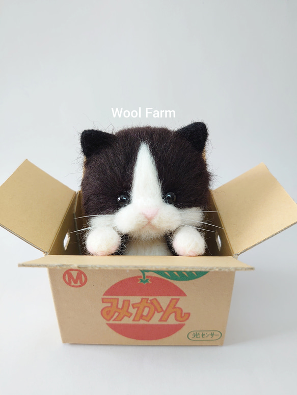 ダンボール猫(ハチワレ)　～Wool Farm～　羊毛フェルト 2枚目の画像