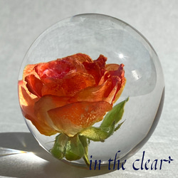 植物標本　薔薇　オレンジ　レジン　５センチ球体 2枚目の画像