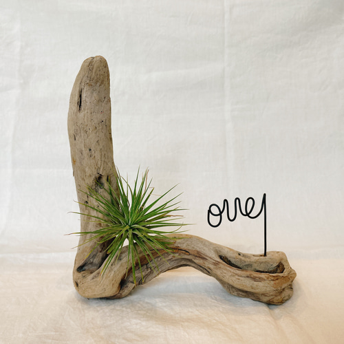 流木　アート　インテリア　置物 流木アート オブジェ置物 約52cm