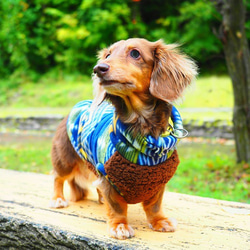 犬服　ダックスちゃんのボア付きハイネックタンクトップ　トライバル×茶ボア 6枚目の画像