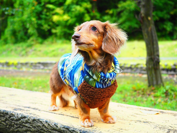 犬服　ダックスちゃんのボア付きハイネックタンクトップ　トライバル×茶ボア 6枚目の画像