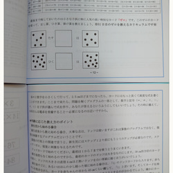【新品】算数の教え方とドッツカードのカリキュラム 4枚目の画像