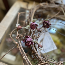 シックな色チューリップの球根付き布花コサージュ 8枚目の画像