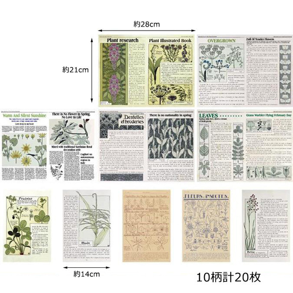 新入荷！『大きめ！デザインペーパー ビンテージ雑誌シリーズ 「MM-100　植物図鑑」』～10柄 (計20枚入り)～ 5枚目の画像