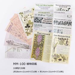 新入荷！『大きめ！デザインペーパー ビンテージ雑誌シリーズ 「MM-100　植物図鑑」』～10柄 (計20枚入り)～ 1枚目の画像