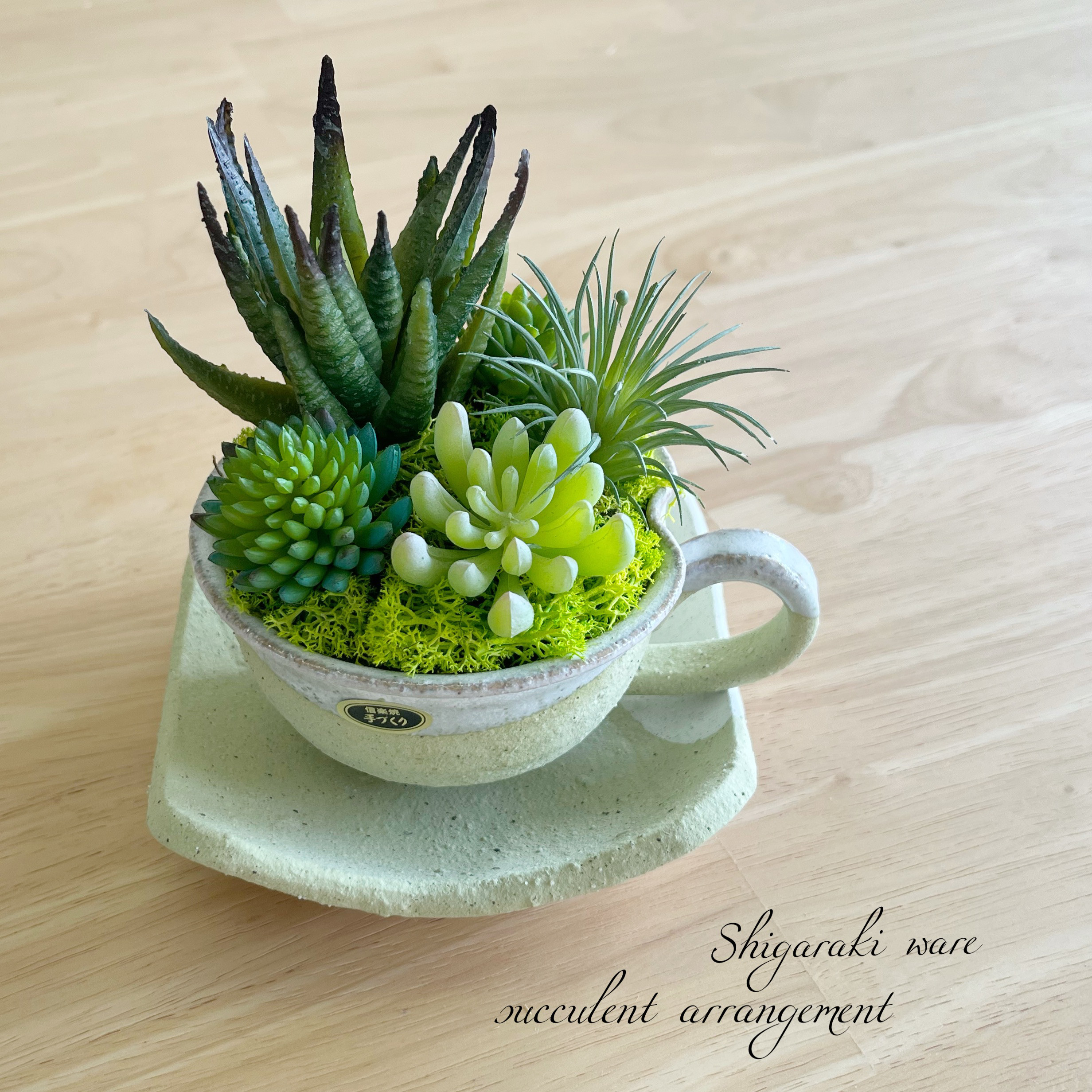 信楽焼カップ＆ソーサー　多肉植物アレンジメント　フェイクグリーン