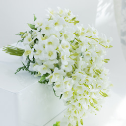 デンファレの正統派ウェディングブーケ【ブートニア付き】 前撮り 挙式 二次会 アーティフィシャルフラワー 1枚目の画像