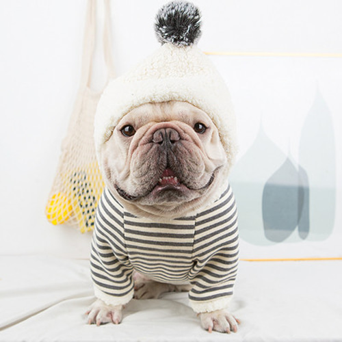 ☆犬服ハンドメイド☆フレブル・パグのお洋服