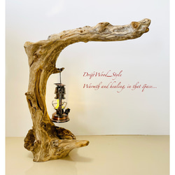 流木インテリア 圧巻の存在感と造形美の流木スタンド ランタンやエアプラントを飾れる置物 北欧 照明 木材 癒し 自然 1枚目の画像
