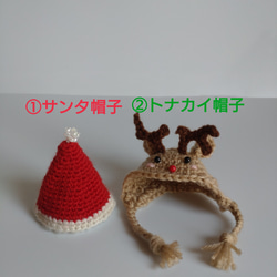 ☆クリスマスプレゼント付き☆ ✿✿期間限定受注制作品✿✿　セキセイインコさん　 14枚目の画像