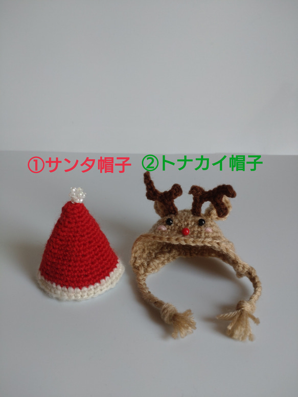 ☆クリスマスプレゼント付き☆ ✿✿期間限定受注制作品✿✿　セキセイインコさん　 14枚目の画像