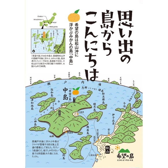 希望の島 国産アボカド(ベーコン種) 1kg 4～6個 サイズ不揃い 愛媛 中島産 2枚目の画像