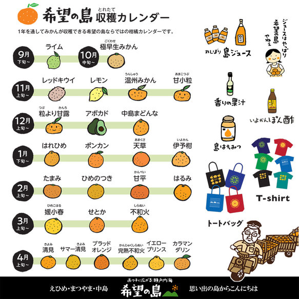 希望の島 国産アボカド(ベーコン種) 1kg 4～6個 サイズ不揃い 愛媛 中島産 7枚目の画像