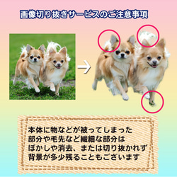 わんちゃん切り抜き写真 名前入れトートバッグ キャンバスバッグ 犬の好物骨イラスト トイプードル ドッグフォト 2枚目の画像