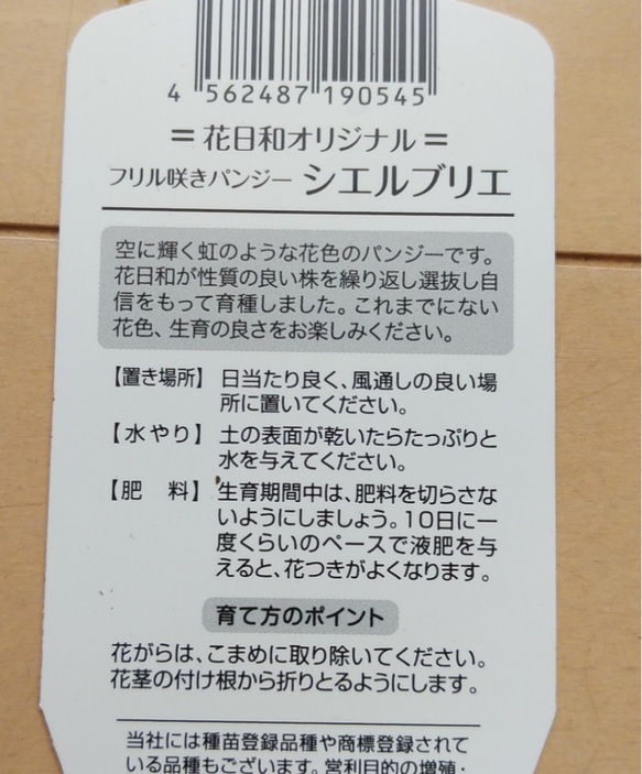 花日和さんオリジナル　フリル咲きパンジー　シエルブリエ　２ポットセット 8枚目の画像