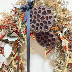 馬蹄型Christmas Wreath 蓮の実　50㎝✖️40㎝ 4枚目の画像