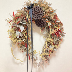 馬蹄型Christmas Wreath 蓮の実　50㎝✖️40㎝ 1枚目の画像
