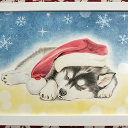 クリスマスとわんこC 色鉛筆 原画 イラスト MIYU'sアート miyu 通販