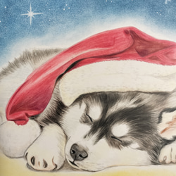 クリスマスとわんこC　色鉛筆　原画 2枚目の画像