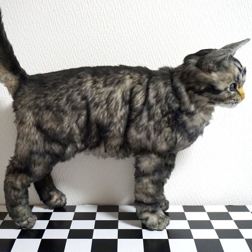 自在猫】自在に可動できるリアルな実物大キジトラ猫人形 試作品