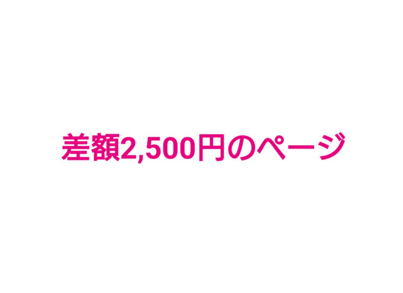 差額2,500円のオプションページ 1枚目の画像