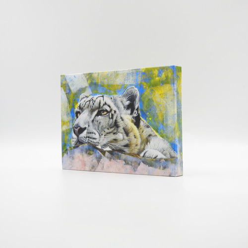 A5アートパネル「snow leopard gaze（ユキヒョウの眼差し