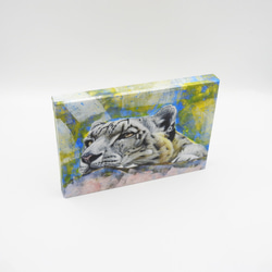 A5アートパネル「snow leopard gaze（ユキヒョウの眼差し）」 4枚目の画像