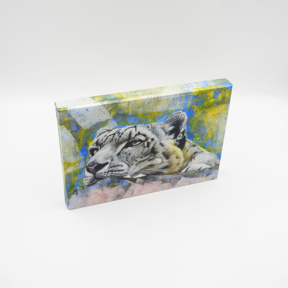 A5アートパネル「snow leopard gaze（ユキヒョウの眼差し）」 4枚目の画像