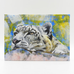 A5絵画パネル「snow leopard gaze（ユキヒョウの眼差し）」 1枚目の画像