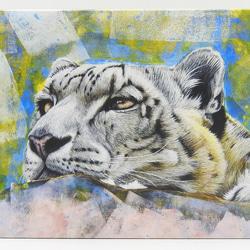 A5アートパネル「snow leopard gaze（ユキヒョウの眼差し）」 2枚目の画像