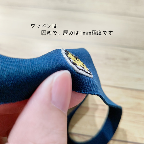 りすとどんぐり【ワッペン】アップリケ リス ドングリ 動物 秋