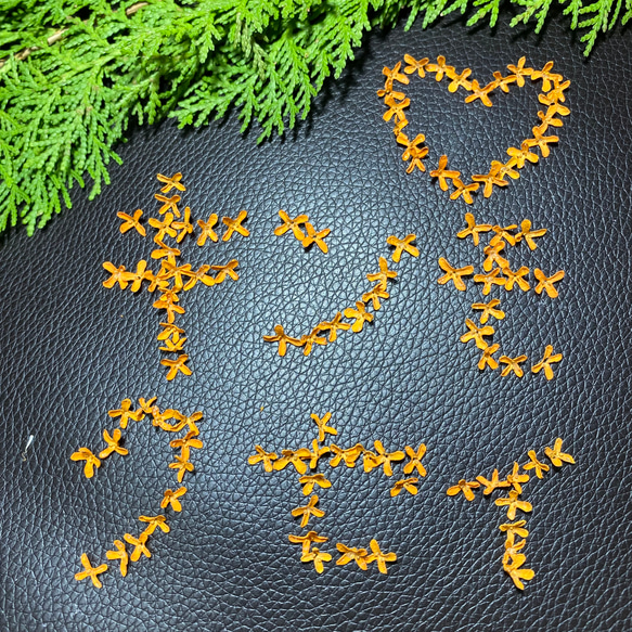 キンモクセイ ドライフラワー 120輪 その他素材 Green Paradise Yuu  