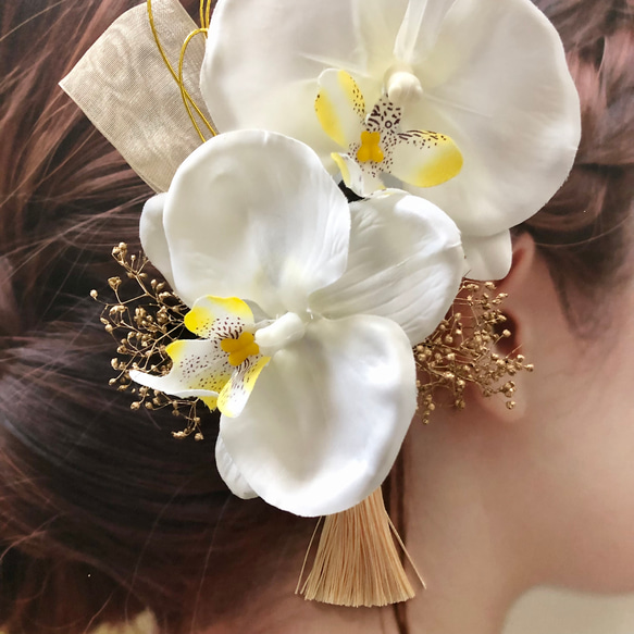 ◇胡蝶蘭　ヘッドパーツ ヘアピン　ヘッドドレス　髪飾り ヘアアクセサリー 前撮り　袴　和装　ウェディングドレス 3枚目の画像